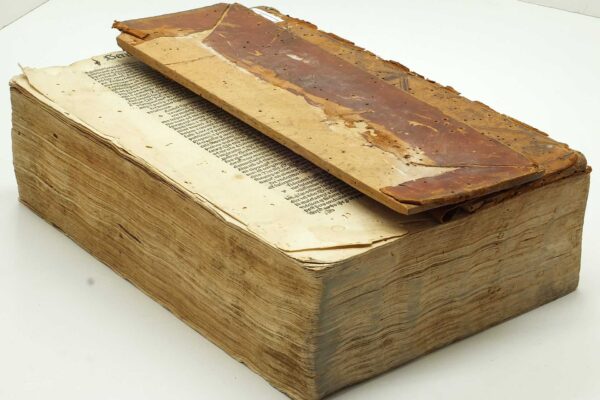 6. XV 689 Busti, Bernardinus de.Rosarium sermonum_przed